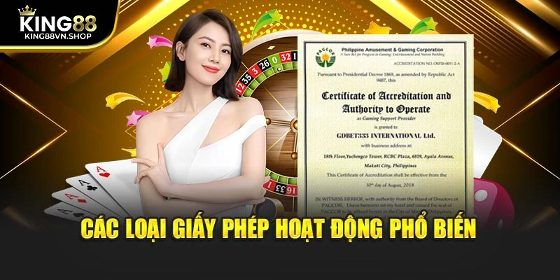 Các loại giấy phép hoạt động phổ biến