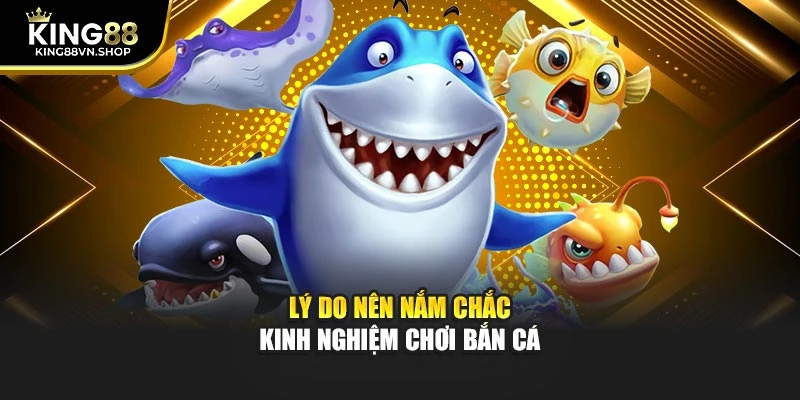 Lý do nên nắm chắc kinh nghiệm chơi bắn cá