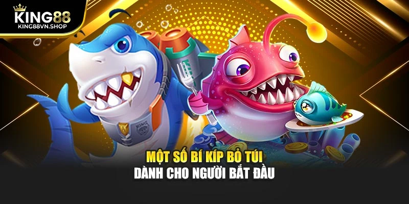 Một số bí kíp bỏ túi dành cho người bắt đầu