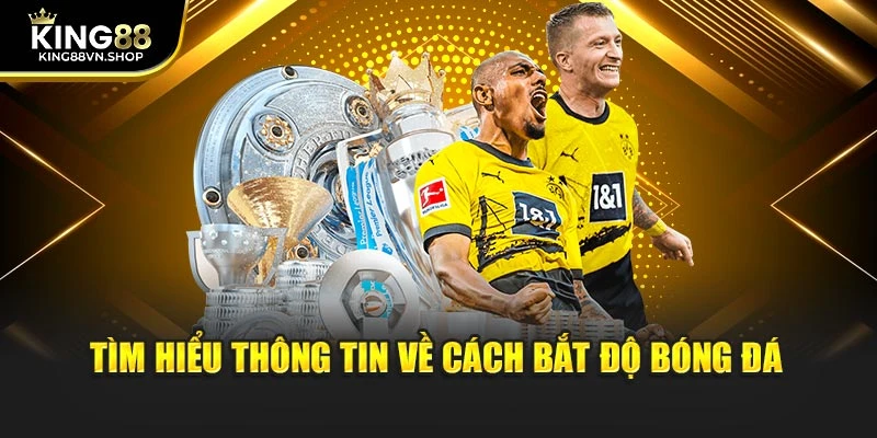 Tìm hiểu thông tin về cách bắt độ bóng đá